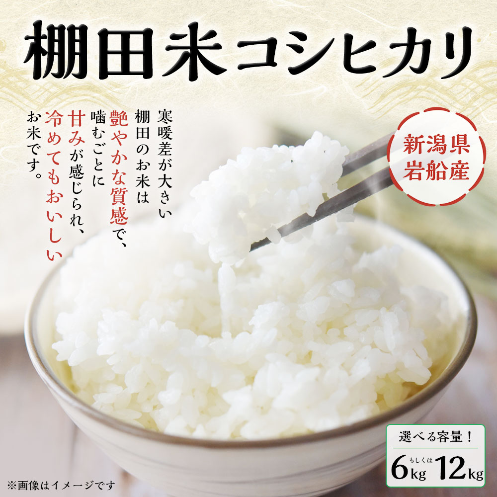 【ふるさと納税】【令和7年産米】【選べる容量】 新潟県村上市岩船産 棚田米 コシヒカリ 6kg もしくは 12kg お米 精米 白米 ご飯 ごはん 村上市 A4184 B4107 - 画像2