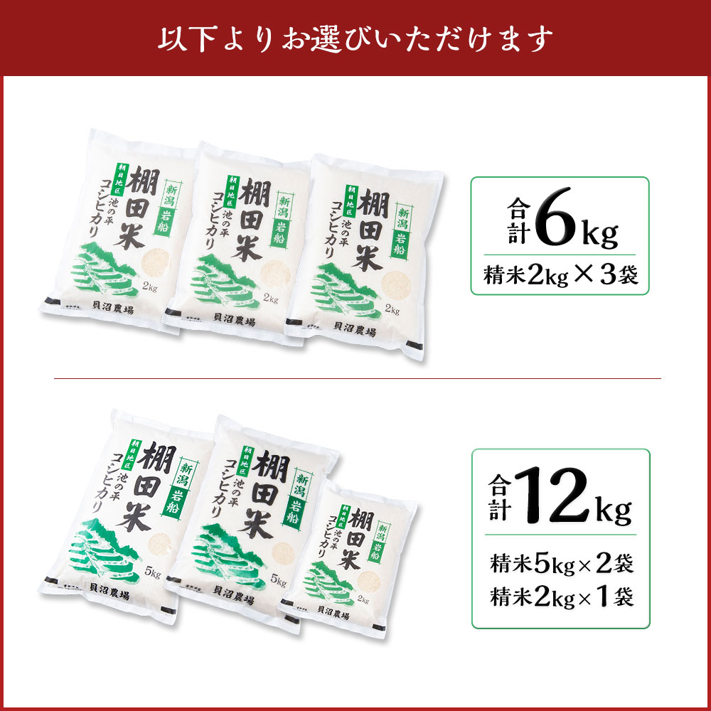 【ふるさと納税】【令和7年産米】【選べる容量】 新潟県村上市岩船産 棚田米 コシヒカリ 6kg もしくは 12kg お米 精米 白米 ご飯 ごはん 村上市 A4184 B4107 - 画像3