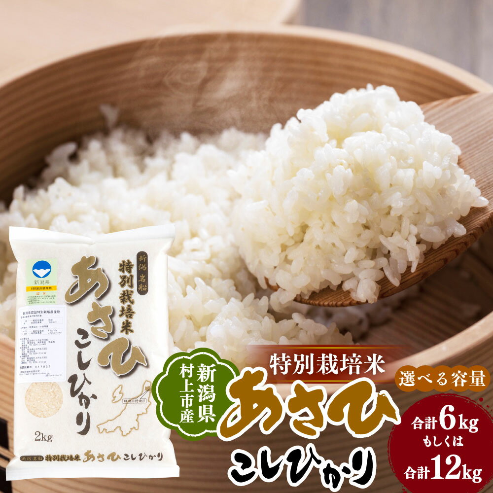 【令和7年産米】【選べる容量】 新潟県 村上市産 特別栽培米 コシヒカリ 合計6kg（2kg×3袋） もしくは 合計12kg （5kg×2袋・2kg） お米 精米 白米 ご飯 ごはん A4033 B4029