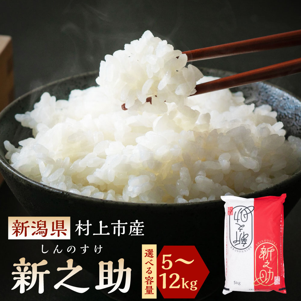 【令和6年産米】【選べる容量】新潟県 村上市産 新之助 （5kg/6kg/12kg） お米 精米 白米 ご飯 ごはん しんのすけ 1027009 A4034 B4030