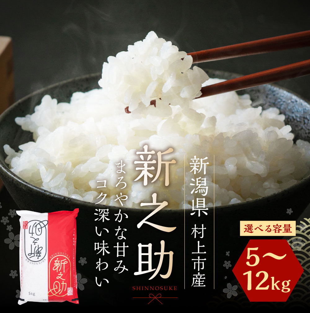【ふるさと納税】【令和6年産米】【選べる容量】新潟県 村上市産 新之助 （5kg/6kg/12kg） お米 精米 白米 ご飯 ごはん しんのすけ 1027009 A4034 B4030 サムネイル2