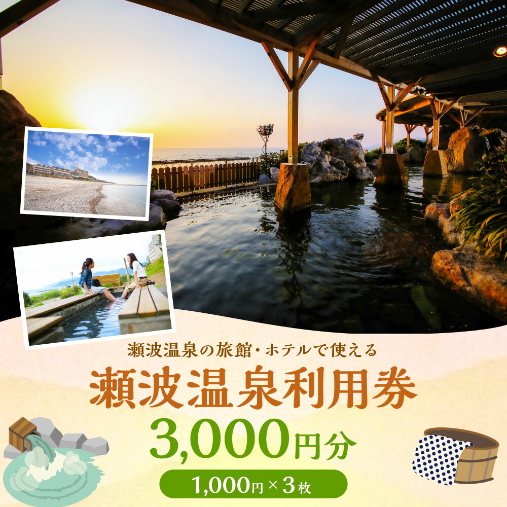 【ふるさと納税】瀬波温泉利用券 3,000円分 (1,000円×3枚) 温泉 温泉券 入浴券 チケット 観光 宿泊 ホテル お土産 新潟県 村上市 K1 サムネイル2