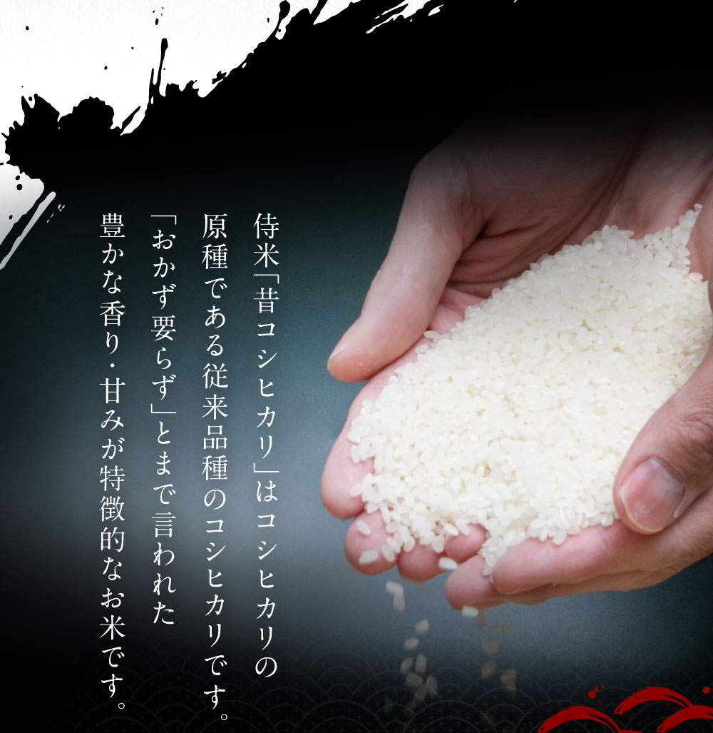 【ふるさと納税】【新米受付・令和8年産米】新潟県村上市岩船産 コシヒカリ 精米 合計 6kg 2kg×3個 セット 米 白米 ご飯 ごはん 新潟県 村上市 新潟県 村上市 NA4091 - 画像3