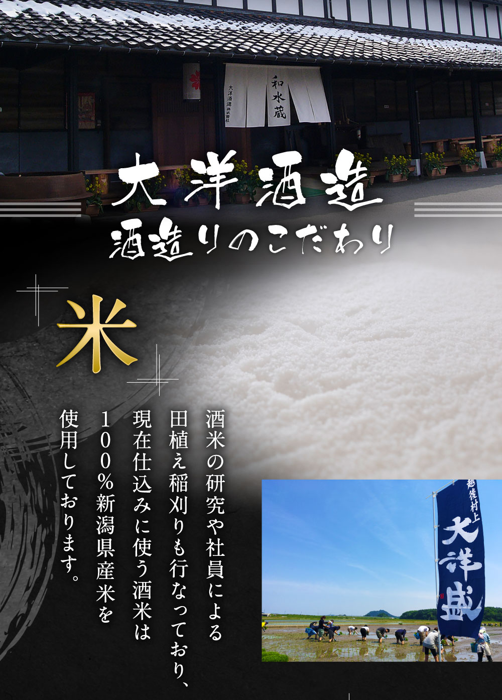 【ふるさと納税】大洋盛セットTH（一升瓶　特別本醸造　大洋盛）大洋酒造 新潟県 地酒 清酒 セット お酒 酒 和食 冷酒 熱燗 ぬる燗 越後 村上市 1009001 サムネイル2