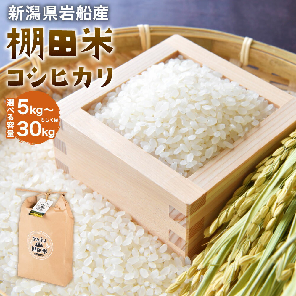 【令和7年産米】新潟県村上市岩船産 棚田米 コシヒカリ 【選べる容量】 5kg ～ 30kg 米 精米 白米 ご飯 ごはん 村上市 A4038