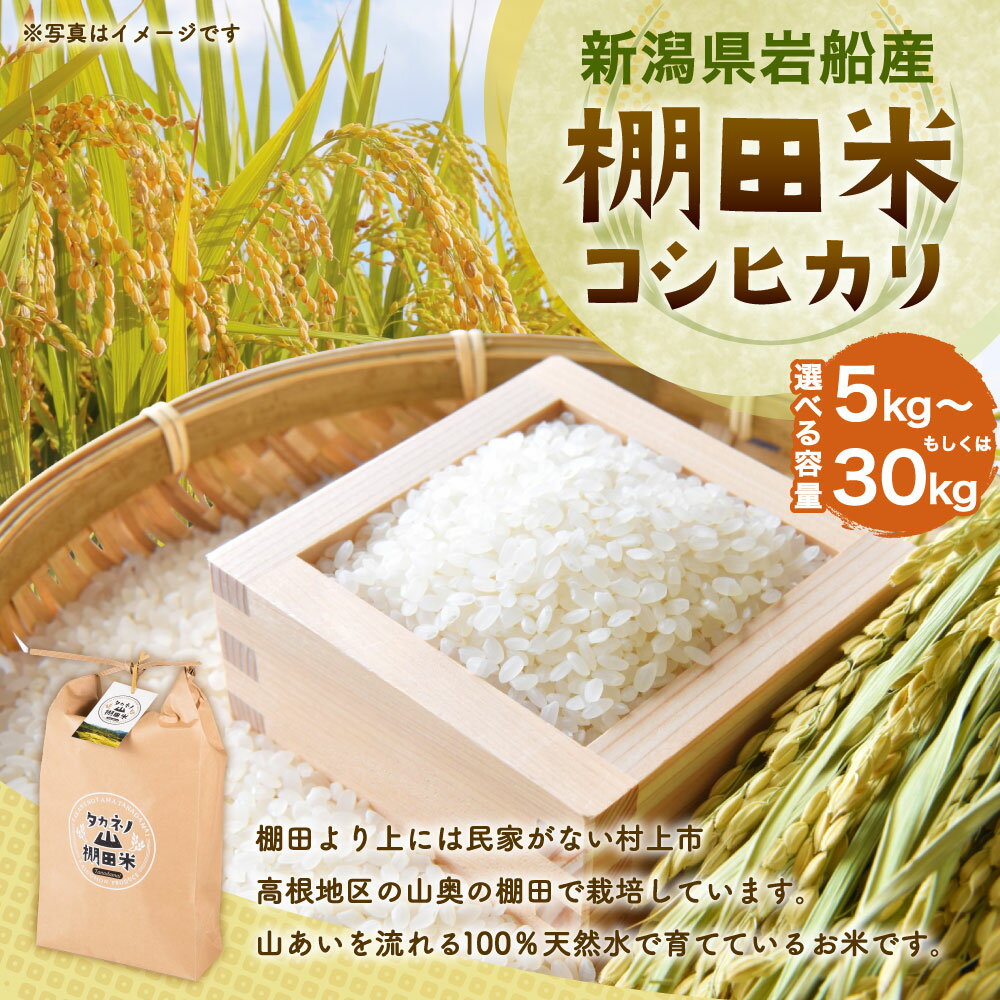 【ふるさと納税】【令和7年産米】新潟県村上市岩船産 棚田米 コシヒカリ 【選べる容量】 5kg ～ 30kg 米 精米 白米 ご飯 ごはん 村上市 A4038 - 画像2
