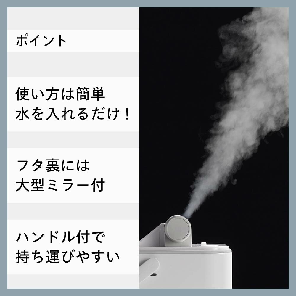 【ふるさと納税】ツインバード フェイススチーマー(ESH-2787W)【 家電 スチーマー ダブルスチーム 新潟県 燕市 燕三条 】 サムネイル2