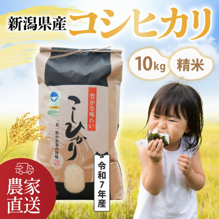 【ふるさと納税】【令和7年産】 コシヒカリ 精米 10kg 南波農園の特別なお米 新潟県燕市産 【 米 白米 お米 ごはん ご飯 白飯 ライス 数量限定 南波農園 美味しい米を作る農家の会 新潟県 燕三条 燕市 】 [10002925] - 画像2