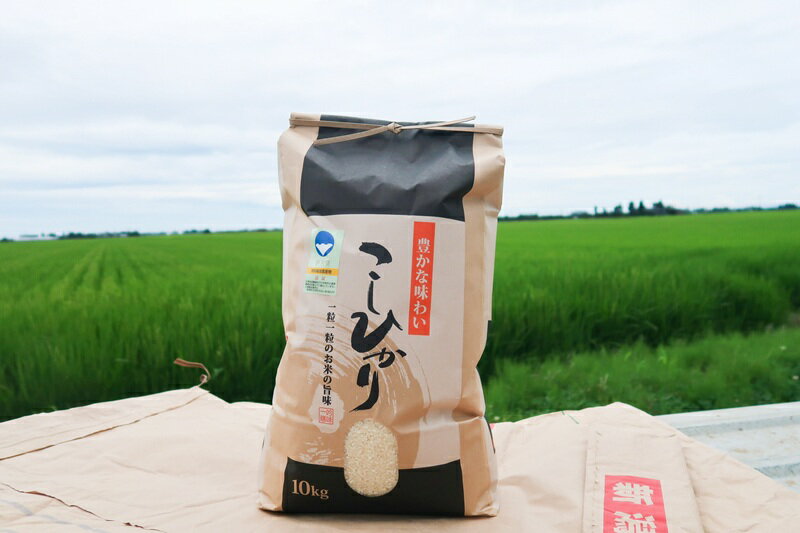 【ふるさと納税】【令和7年産】 コシヒカリ 精米 10kg 南波農園の特別なお米 新潟県燕市産 【 米 白米 お米 ごはん ご飯 白飯 ライス 数量限定 南波農園 美味しい米を作る農家の会 新潟県 燕三条 燕市 】 [10002925] - 画像3