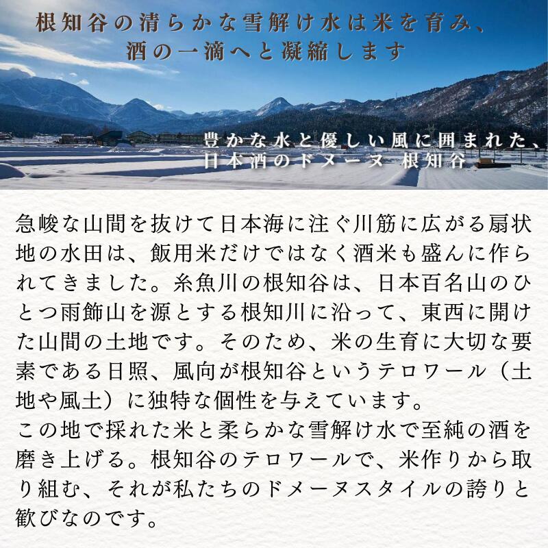 【ふるさと納税】根知男山 純米大吟醸『社長の秘蔵酒 ヴィンテージコレクション』720ml×1本 化粧箱入り ゴールドラベル（特等米） 渡辺酒造 自社栽培米使用【日本酒 地酒 新潟 糸魚川 ギフト 4合瓶 蔵元直送】 サムネイル3