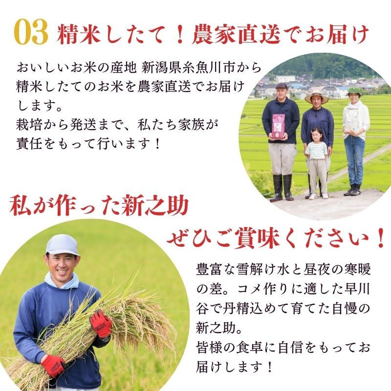 【ふるさと納税】米【令和7年産】『新之助』2kg 食味鑑定士お墨付き 家族みんなで愛情かけて育てた米 新潟県糸魚川産 2025年 しんのすけ 白米 百姓や伝六【米 お米 こめ 食品 人気 おすすめ ギフト 新潟県の新しいブランド米 農家直送 2キロ お米 おにぎり お弁当】 - 画像3