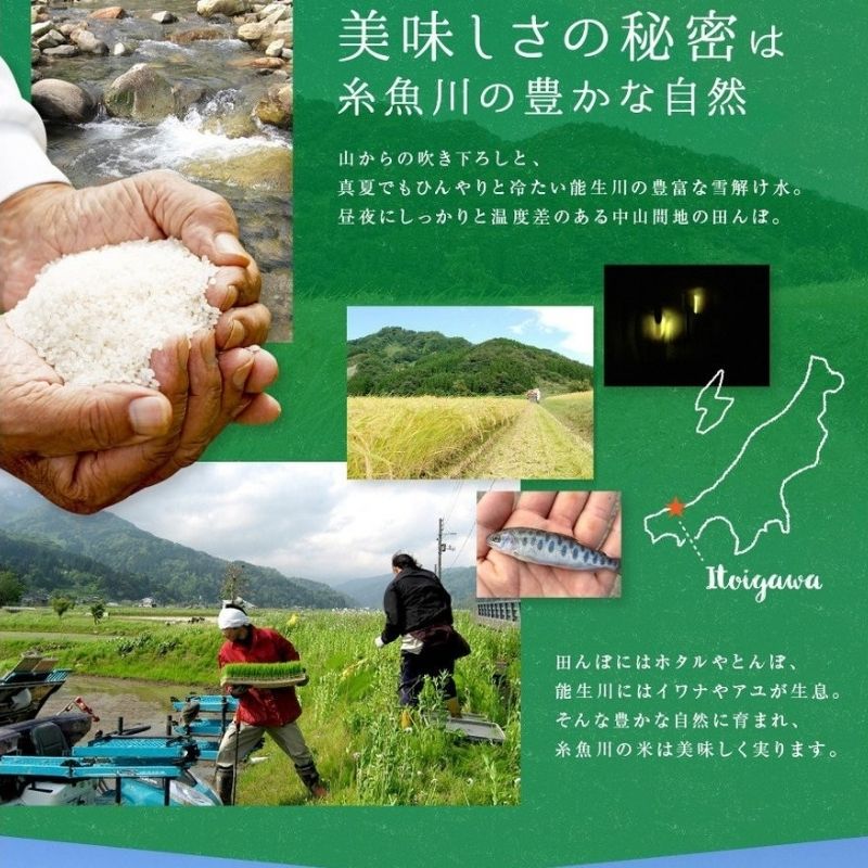 【ふるさと納税】 令和7年産『新潟県産コシヒカリ』 玄米 30kg 農家直送（精米サービス可能） 農家直送 あぐ里能生 プロが認めたうまい米 ふっくらもちもち 糸魚川 農家自慢 精米 白米 おにぎり お弁当 新潟米 産地直送 コシヒカリ30kg あぐ里能生 米 - 画像3