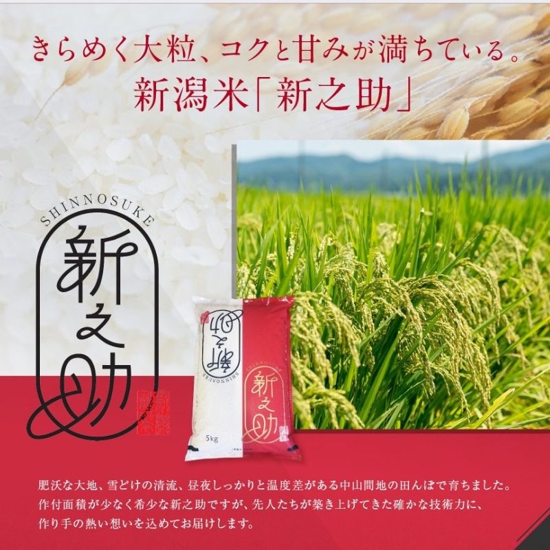 【ふるさと納税】 令和7年産『新之助』 5kg 新潟県糸魚川産 10月以降順次発送予定 農家直送 2025年 しんのすけ あぐ里能生 お米 食品 人気 おすすめ ギフト 新潟県の新しいブランド米 産地直送 5キロ 精米 白米 おにぎり 弁当 農家自慢 米 こめ - 画像3