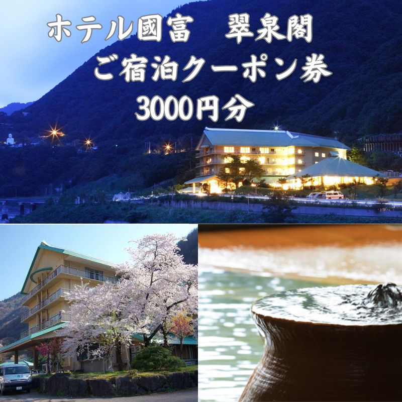 ホテル國富 翠泉閣 宿泊クーポン券 3,000円分 新潟県 糸魚川市 温泉 源泉かけ流し 國富 秘湯 長野県境 姫川温泉 旅行 観光 宿泊補助券 糸魚川