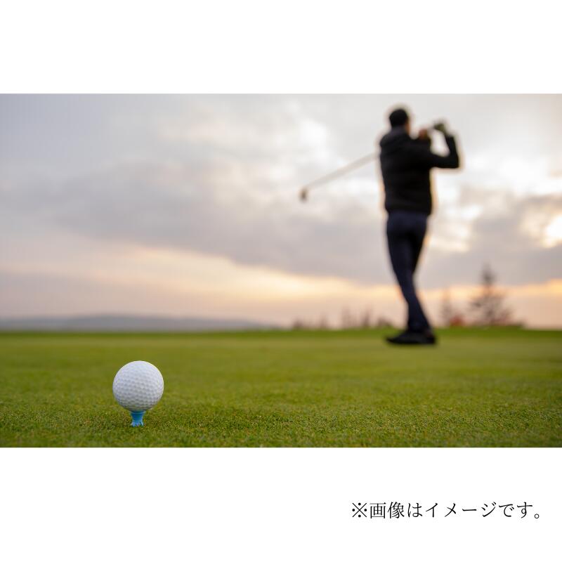 【ふるさと納税】糸魚川カントリークラブ 全日セルフプレーご招待券 1名様分 ゴルフ 新潟県 ゴルフ場 サムネイル3