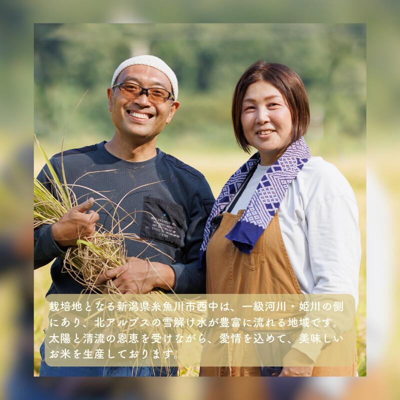 【ふるさと納税】自然栽培米 亀の尾 【令和7年産】希少種 玄米 5kg 新潟県 糸魚川市産 無農薬 無化学肥料米 安心 安全 美味しいお米 新潟米 米 精米 アイファーマーズ【こしひかり おにぎり お弁当 おこめ コメ ご飯 ライス ふるさと納税米 ブランド米 2025年 5キロ】 - 画像3