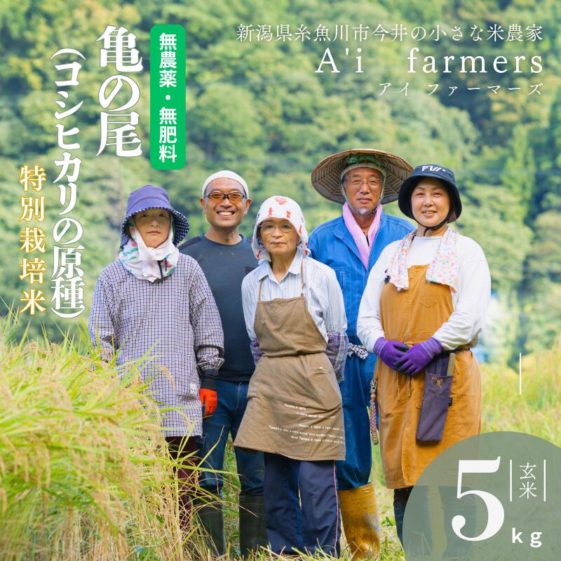 自然栽培米 亀の尾 【令和7年産】希少種 玄米 5kg 新潟県 糸魚川市産 無農薬 無化学肥料米 安心 安全 美味しいお米 新潟米 米 精米 アイファーマーズ【こしひかり おにぎり お弁当 おこめ コメ ご飯 ライス ふるさと納税米 ブランド米 2025年 5キロ】