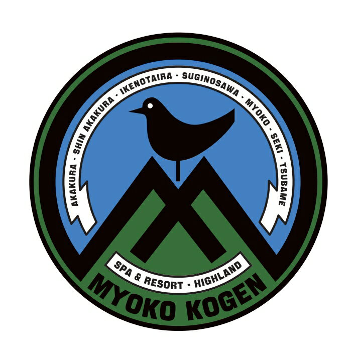 【ふるさと納税】MYOKO's ONLY MYOKO BRANDデザインTシャツ MYOKO KOGEN CLASSIC 80’s選べるサイズ S M L XL 半袖 オリジナル 復刻版 レトロ 送料無料 新潟県 妙高市 サムネイル3