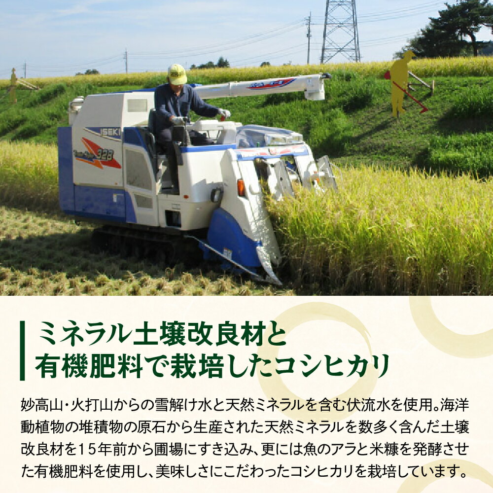 【ふるさと納税】令和7年産 肝太くん家の コシヒカリ 5kg【10月より発送】新潟県 ミネラル米 有機肥料使用 お米 米 コメ 白米 天然 はさかけ 天日乾燥 精米 送料無料 お取り寄せ 妙高市 - 画像3