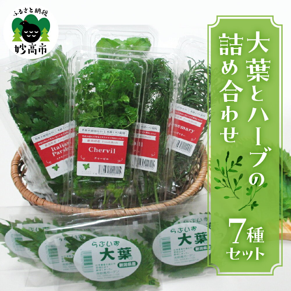 大葉 と ハーブ の 詰め合わせ セット 大葉 セルバチカ イタリアンパセリ ローズマリー スペアミント ディル チャービル パスタ サラダ スパイシー スープ 魚料理 ケーキ デザート 化学農薬不使用 送料無料 新潟県 妙高市