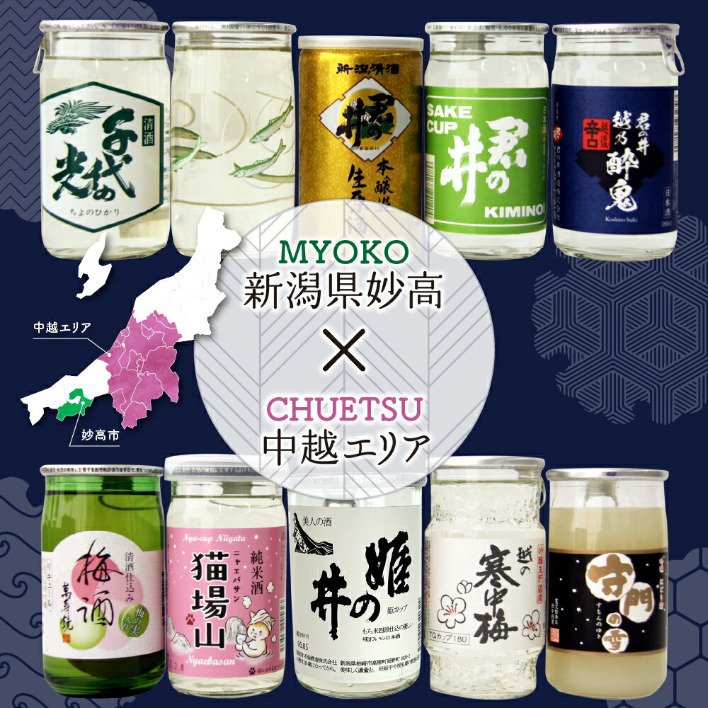 【ふるさと納税】日本酒 飲み比べ カップ 酒 セット (中越 エリア) 10種 新潟県 柿の種つき ワンカップ お酒 にごり酒 地酒 詰め合わせ 贈り物 おみやげ お土産 プレゼント 送料無料 お取り寄せ 人気 お試し ギフト ご当地 名産品 晩酌 お家時間 家飲み 妙高市 サムネイル2