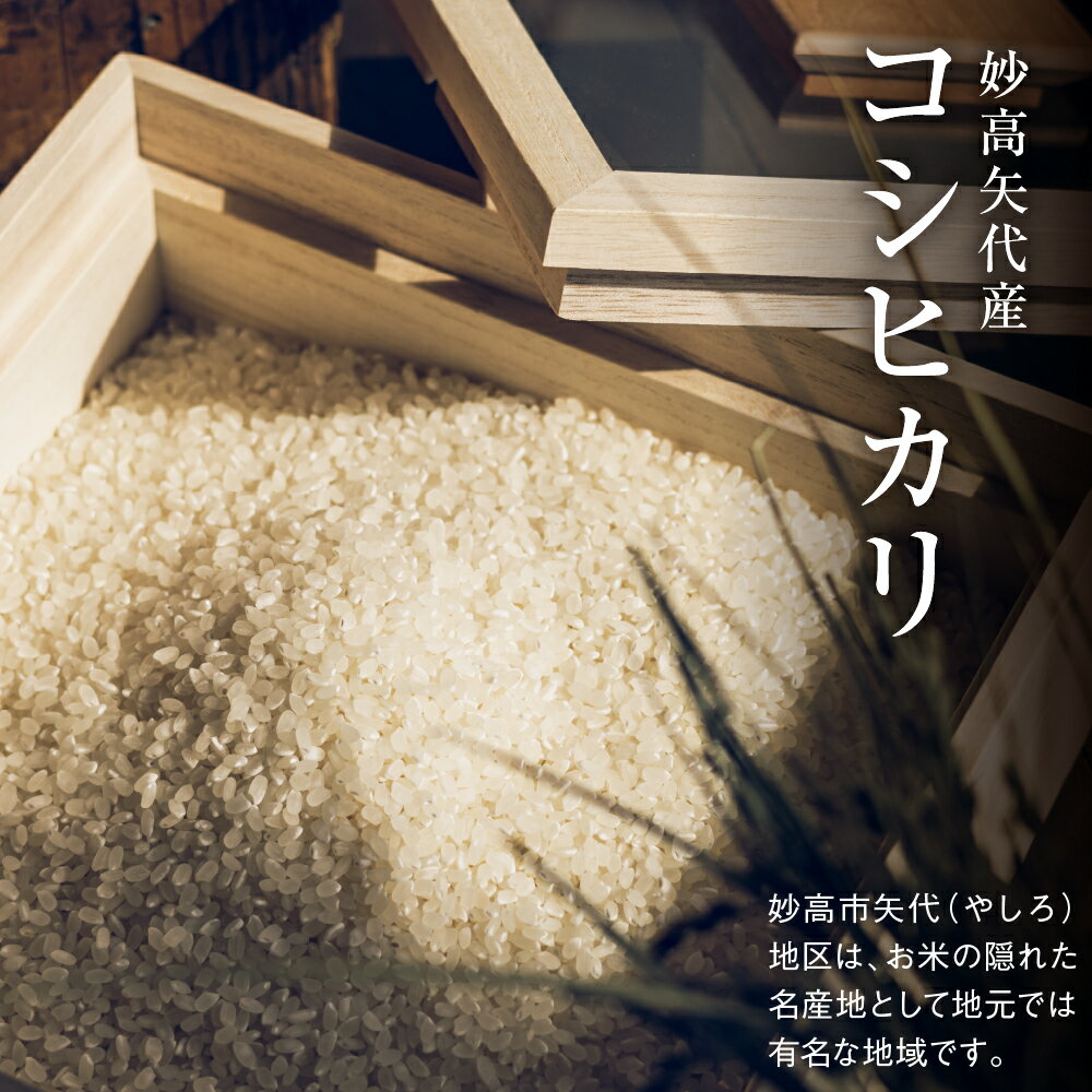 【ふるさと納税】令和7年産 コシヒカリ 新潟県( 選べる内容量 : 5kg / 10kg 選べる回数 : 1回 / 3回 / 6回 ) 服部米蔵 の 妙高矢代産 定期便 米 白米 精米 ブランド米 ご飯 クラフト米袋 大容量 農家直送 産地直送 送料無料 新潟 妙高市 - 画像2