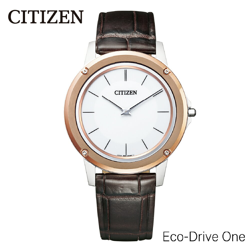 【CITIZEN】エコ・ドライブ ワン AR5026-05A シチズン 腕時計 メンズ 光発電 エコ・ドライブ ソーラー デュラテクトα ワニ革 日常生活用防水 フル充電時: 約1年可動 メーカー保証 新潟県 妙高市