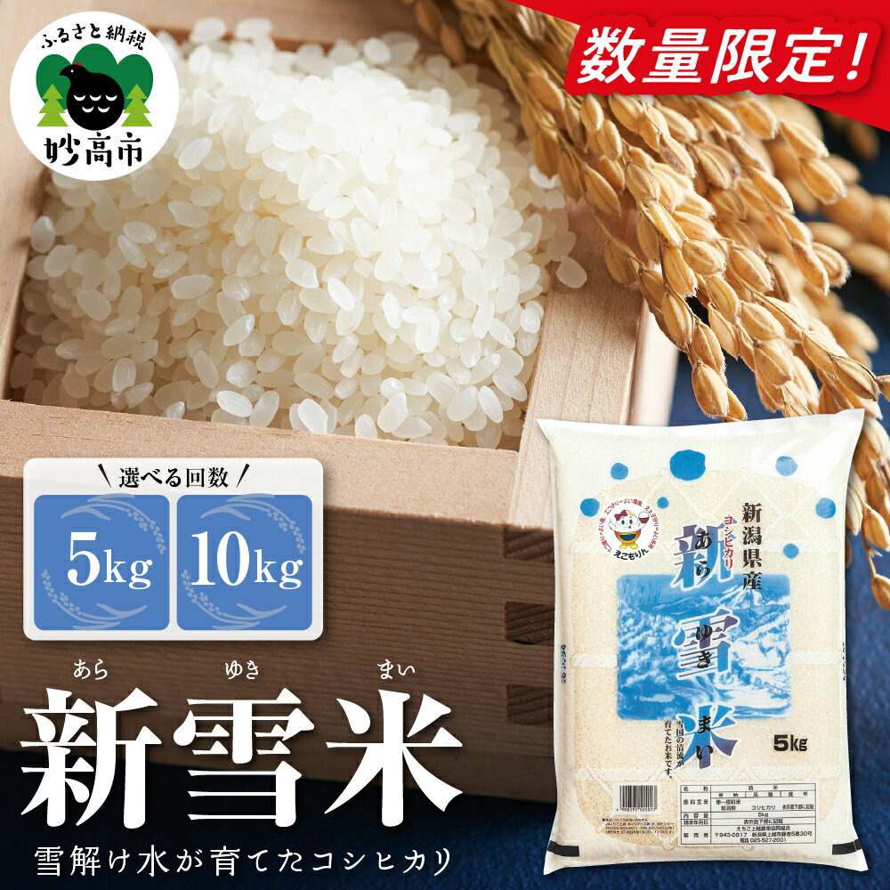 令和7年産 米 新雪米 ( あらゆきまい ) 量が選べる 5kg 10kg コシヒカリ 新潟 上越 妙高 2025年産 白米 精米 お取り寄せ おすすめ 送料無料 新潟県 妙高市