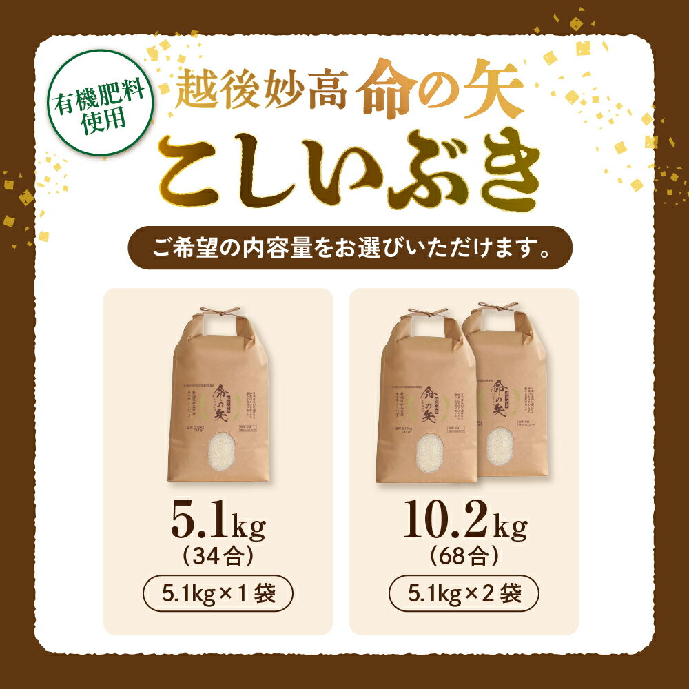 【ふるさと納税】【先行予約】令和8年産 米 越後妙高命の矢 こしいぶき 選べる内容量 5.1kg 10.2kg 越後 妙高 新潟県 上越 妙高産 米どころ 白米 精米 コメ お米 こめ ご飯 ごはん ライス 弁当 小分け 大容量 お取り寄せ 送料無料 妙高市 - 画像2
