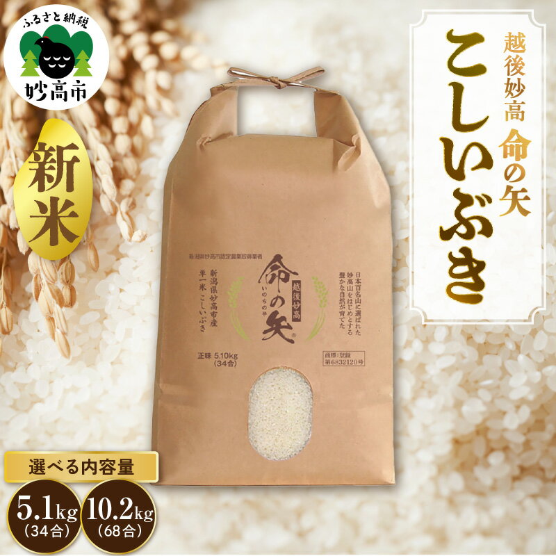 【先行予約】令和8年産 米 越後妙高命の矢 こしいぶき 選べる内容量 5.1kg 10.2kg 越後 妙高 新潟県 上越 妙高産 米どころ 白米 精米 コメ お米 こめ ご飯 ごはん ライス 弁当 小分け 大容量 お取り寄せ 送料無料 妙高市