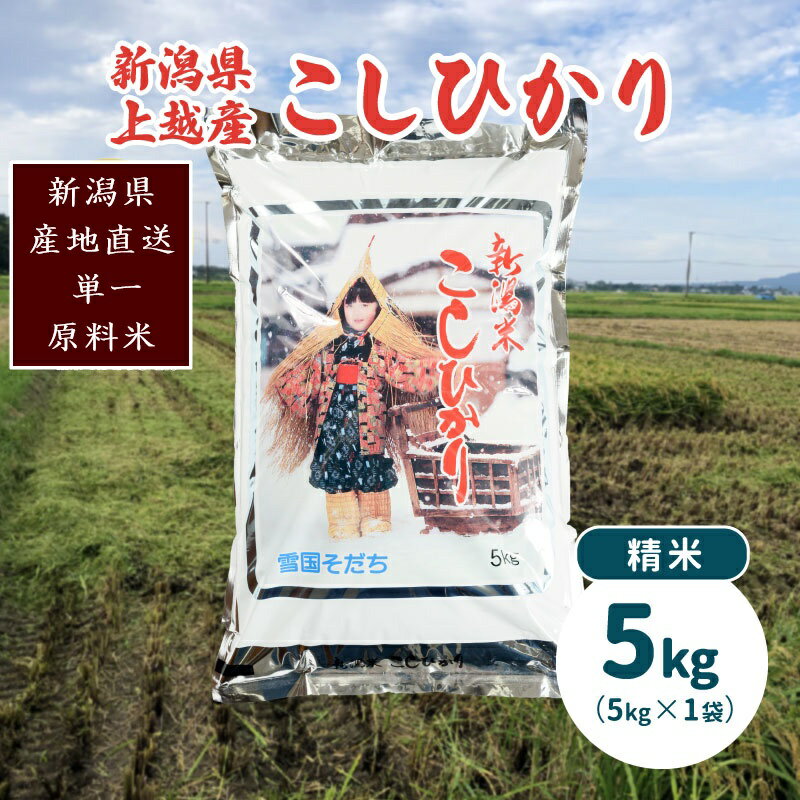 【ふるさと納税】令和7年産・新潟県上越産/コシヒカリ 精米5kg(1袋)|美味安全野菜栽培士が栽培したお米　お届け：ご注文後、2～3週間を目途に順次発送いたします。 - 画像2