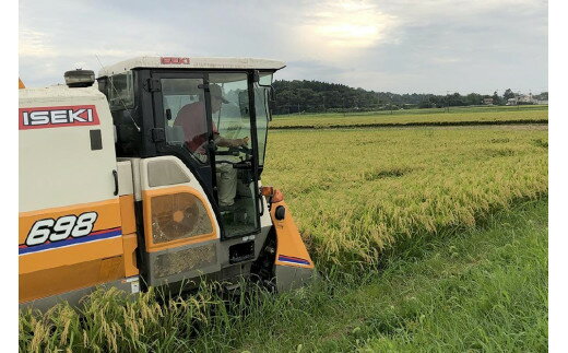 【ふるさと納税】令和7年産・新潟県上越産/コシヒカリ 精米5kg(1袋)|美味安全野菜栽培士が栽培したお米　お届け：ご注文後、2～3週間を目途に順次発送いたします。 - 画像3