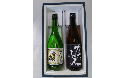 【ふるさと納税】お酒 雪中梅とかたふね（本醸造）セット 日本酒 酒 アルコール　お届け：入金確認次第、順次発送いたします。 サムネイル3