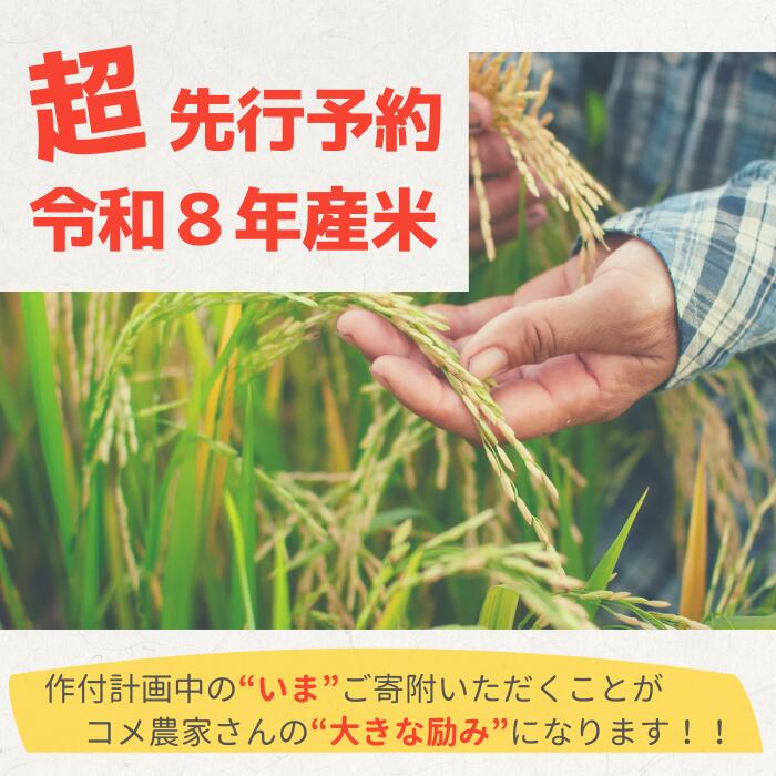 【ふるさと納税】先行予約 令和8年産 新潟上越産ミルキークイーン 【6ヶ月連続お届け】 5kg×6回 30kg 6か月 ミルキークイーン 米 こめ おすすめ 新潟 新潟県産 にいがた 上越 上越産 - 画像3