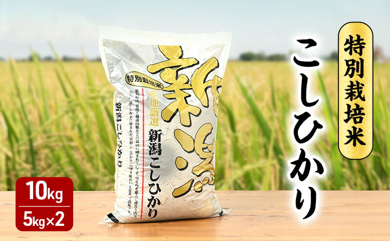 【ふるさと納税】令和7年 新潟県産コシヒカリ 特別栽培米 10kg 10キロ 5kg×2 上越市 三和区神田 富永農産 有機肥料、自家製たい肥を使用し米つくり 送料無料　お届け：寄附入金確認後、順次発送 - 画像2
