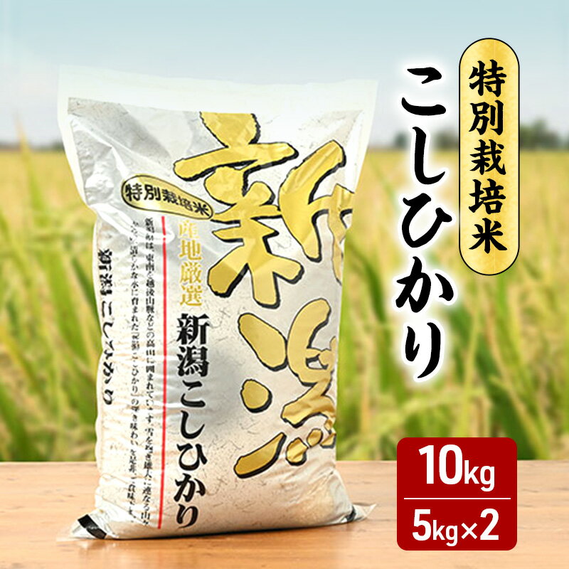 令和7年 新潟県産コシヒカリ 特別栽培米 10kg 10キロ 5kg×2 上越市 三和区神田 富永農産 有機肥料、自家製たい肥を使用し米つくり 送料無料　お届け：寄附入金確認後、順次発送