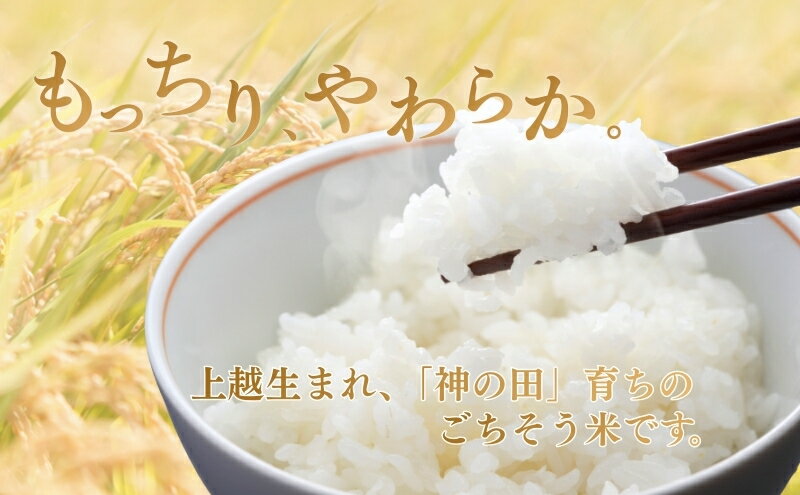 【ふるさと納税】令和7年 新潟県産コシヒカリ 特別栽培米 10kg 10キロ 5kg×2 上越市 三和区神田 富永農産 有機肥料、自家製たい肥を使用し米つくり 送料無料　お届け：寄附入金確認後、順次発送 - 画像3