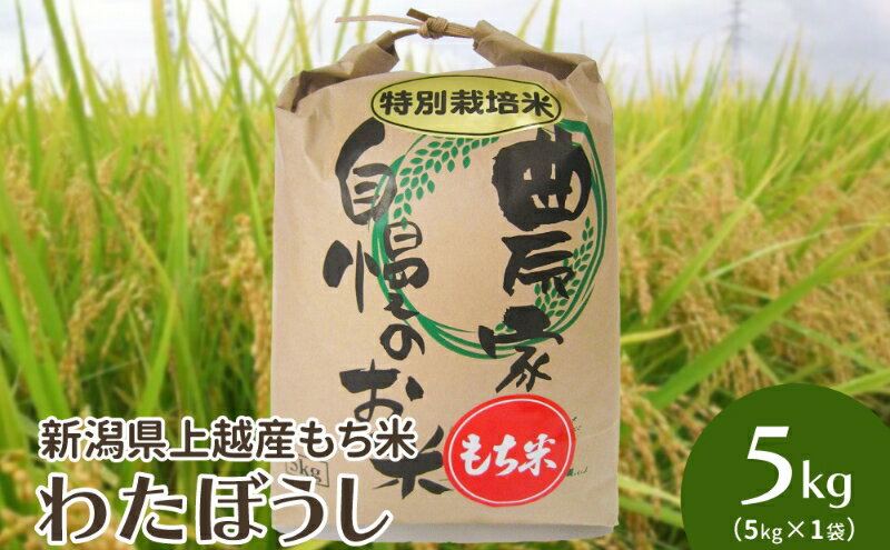 【ふるさと納税】米 令和6年・新潟県上越産｜もち米「わたぼうし」新潟県特別栽培米｜5kg（白米） お米 もち米 新潟　お届け：ご注文後、2～3週間を目途に順次発送いたします。 - 画像2