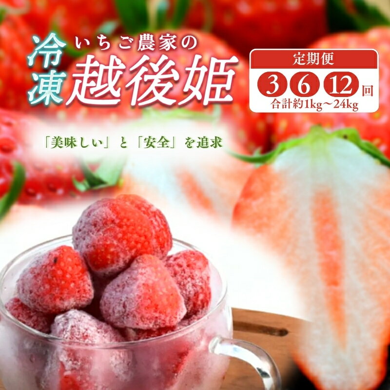 【ふるさと納税】冷凍いちご 越後姫 容量と配送回数が選べる 冷凍 イチゴ 苺 果物 フルーツ 新潟　お届け：寄附のご入金後、順次発送いたします。 サムネイル2