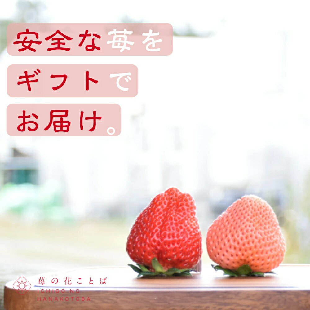 【ふるさと納税】定期便 6回【12～5月発送】いちごの定期配送 雪国完熟いちご越後姫 ダブル（約760g×全6回） 越後姫 いちご　お届け：12月～5月の月1回お届けいたします。 サムネイル3