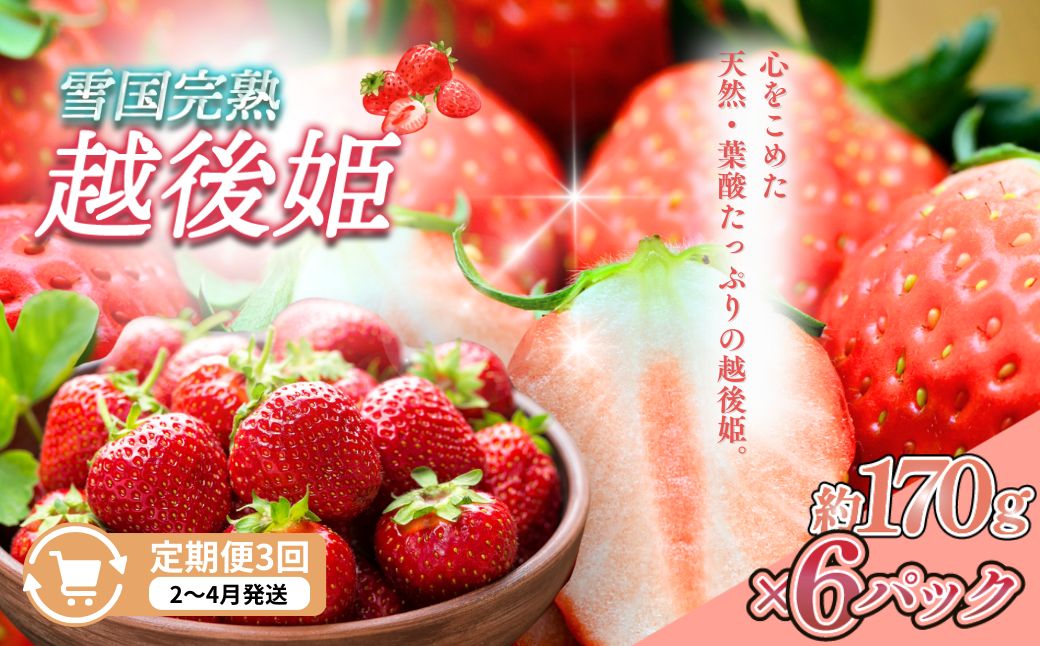 【ふるさと納税】定期便 3回【2～4月発送】雪国完熟いちご越後姫 170g×6全3回 定期配送 越後姫 いちご 定期便 完熟 苺 新潟　お届け：2月～4月の月1回お届けいたします。 サムネイル2