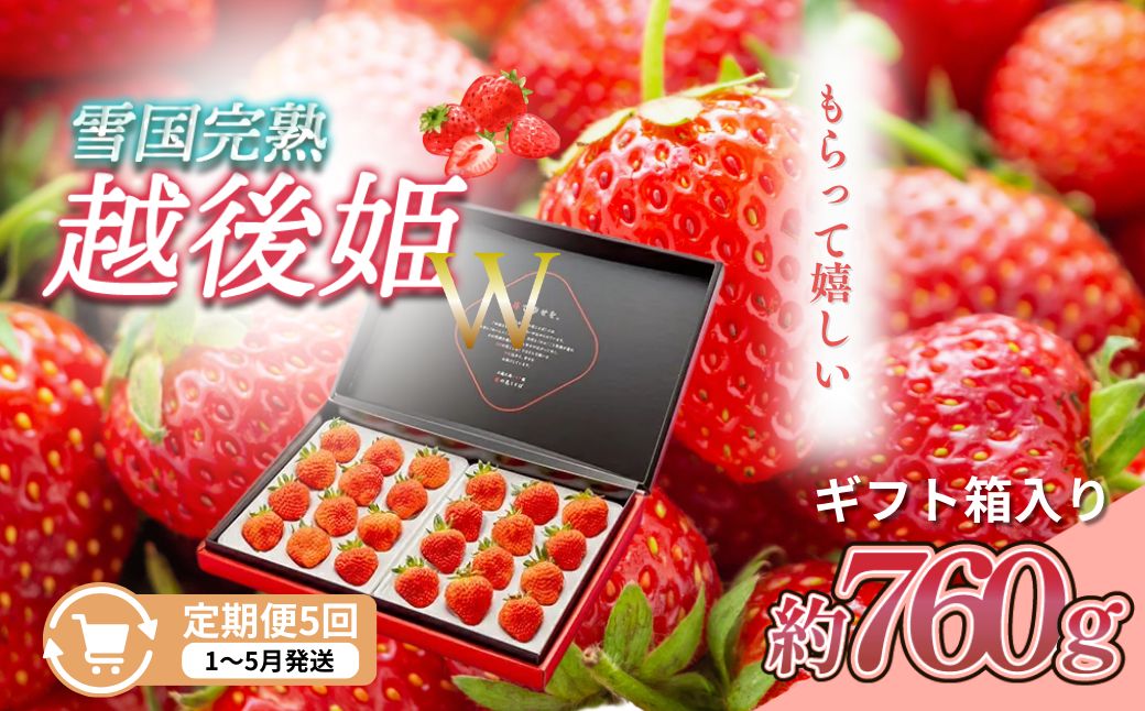 【ふるさと納税】定期便 5回【1～5月発送】いちごの定期配送 雪国完熟いちご越後姫 ダブル（約760g×全5回） 越後姫 いちご　お届け：1月～5月の月1回お届けいたします。 サムネイル2