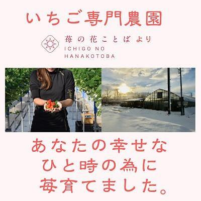 【ふるさと納税】定期便 5回【1～5月発送】いちごの定期配送 雪国完熟いちご越後姫 ダブル（約760g×全5回） 越後姫 いちご　お届け：1月～5月の月1回お届けいたします。 サムネイル3
