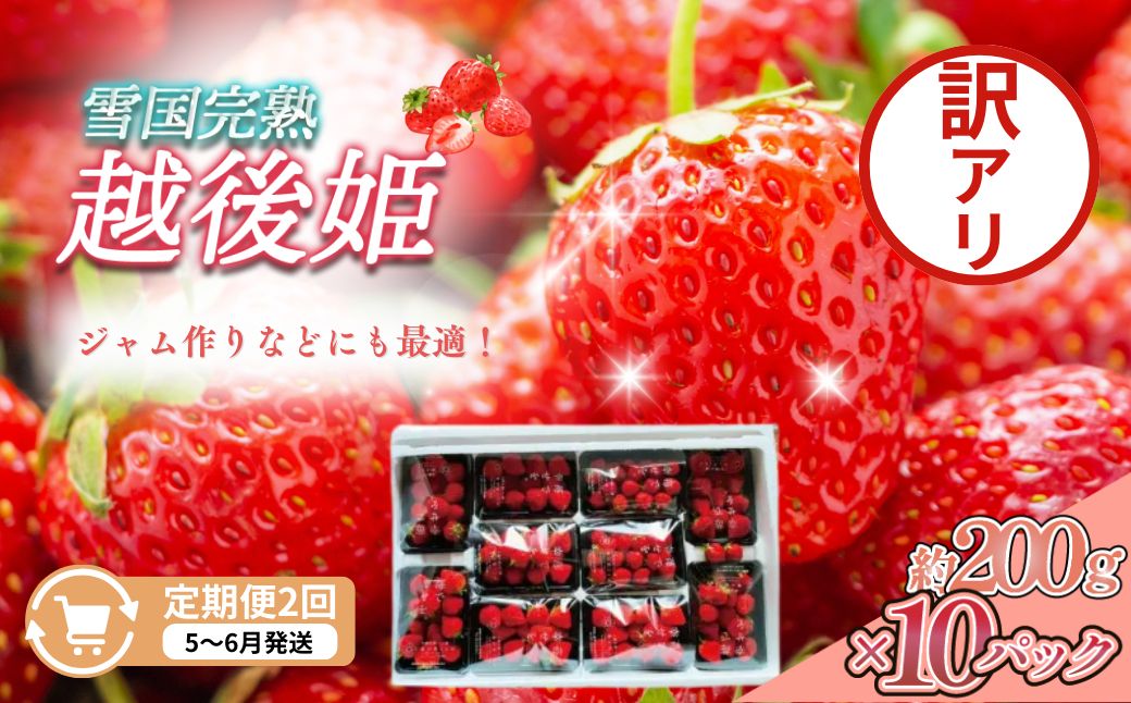 【ふるさと納税】定期便 2回【5～6月発送】訳あり越後姫 約200g×10定期配送 越後姫 えちごひめ 苺 いちご 訳あり 新潟　お届け：5月～6月の月1回お届けいたします。 サムネイル2