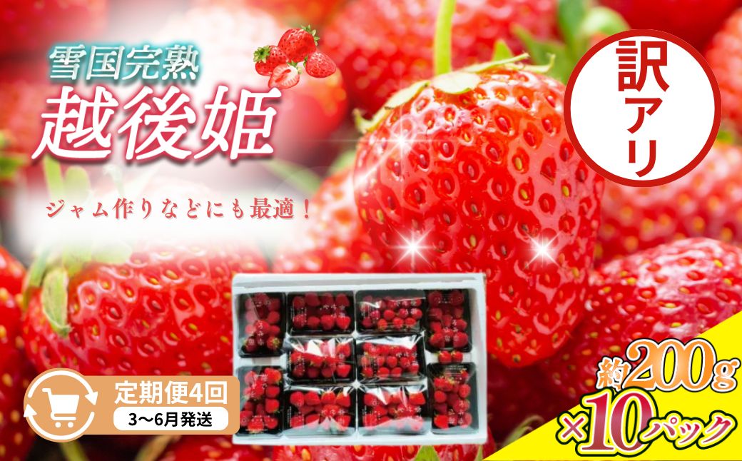【ふるさと納税】定期便 4回【3～6月発送】訳あり越後姫 約200g×10定期配送 越後姫 えちごひめ 苺 いちご 訳あり 新潟　お届け：3月～6月の月1回お届けいたします。 サムネイル2
