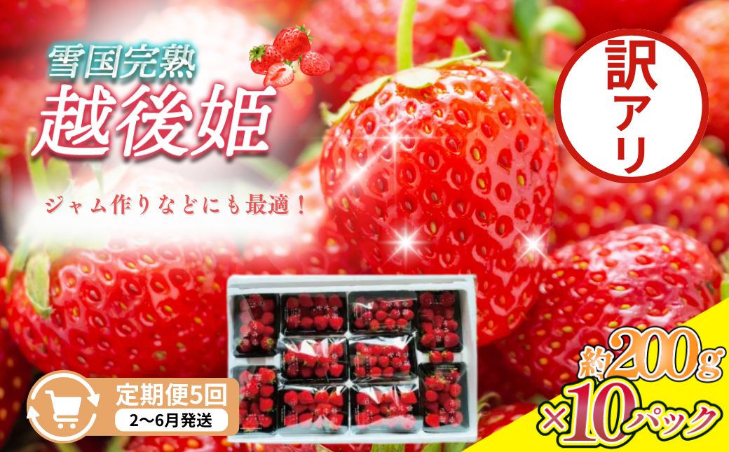 【ふるさと納税】定期便 5回【2～6月発送】訳あり越後姫 約200g×10定期配送 越後姫 えちごひめ 苺 いちご 訳あり 新潟　お届け：2月～6月の月1回お届けいたします。 サムネイル2