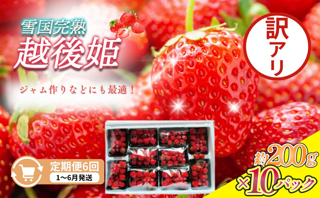 【ふるさと納税】定期便 6回【1～6月発送】訳あり越後姫 約200g×10定期配送 越後姫 えちごひめ 苺 いちご 訳あり 新潟　お届け：1月～6月の月1回お届けいたします。 サムネイル2