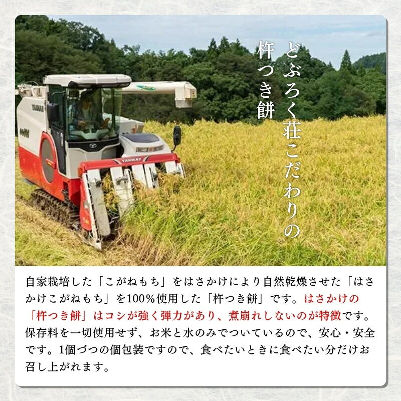 【ふるさと納税】餅 天日干し 「杵つき餅」（10個入り）×5袋 もち お餅　お届け：ご入金確認次第順次発送いたします。 - 画像3