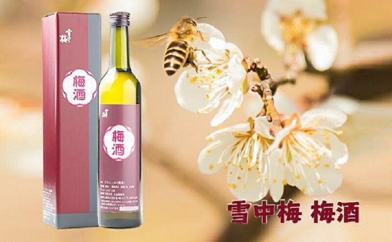 【ふるさと納税】雪中梅 梅酒 500ml 化粧箱入｜酒 お酒 贈答 プレゼント 贈り物 おすすめ ふるさと納税 人気 新潟 新潟県産 にいがた 上越 上越産　お届け：順次発送 サムネイル3