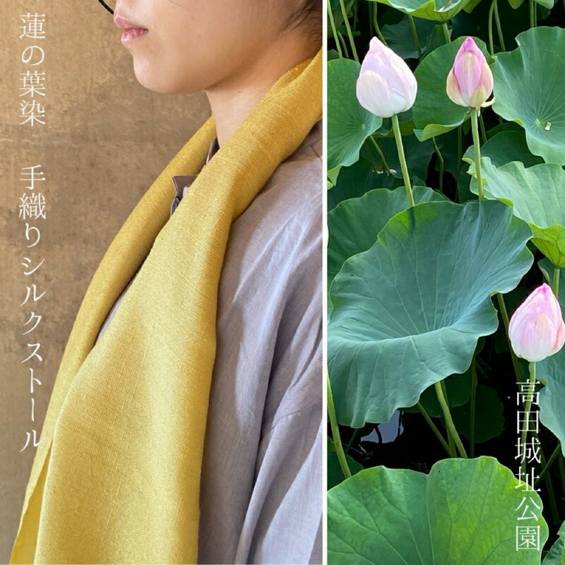 【ふるさと納税】ストール 高田城址公園 蓮の葉染 手織りシルクストール 手織り シルク 新潟 上越 上越市　お届け：ご入金確認後、順次発送いたします。 サムネイル2